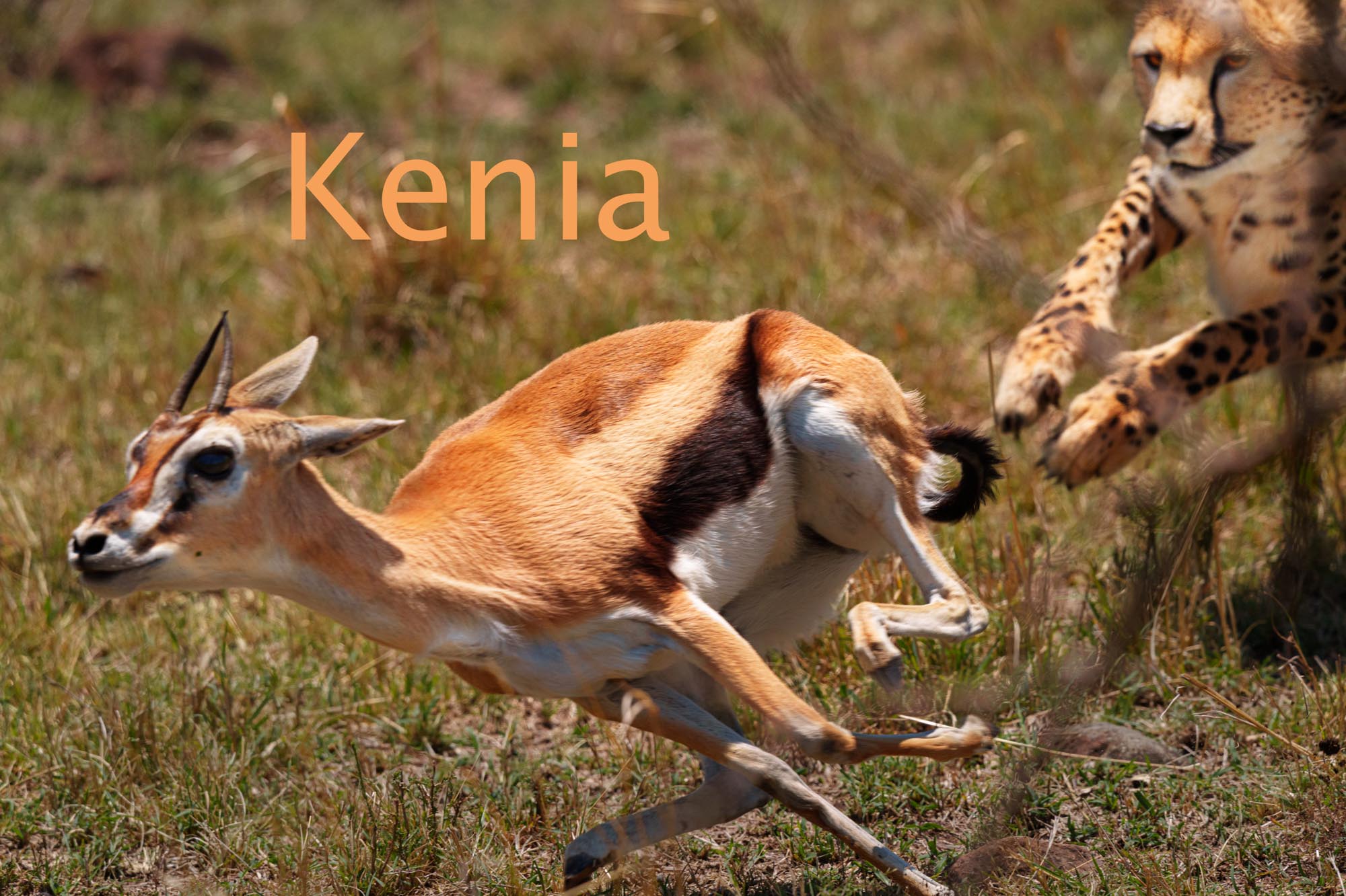 Titelbild_Kenia missing