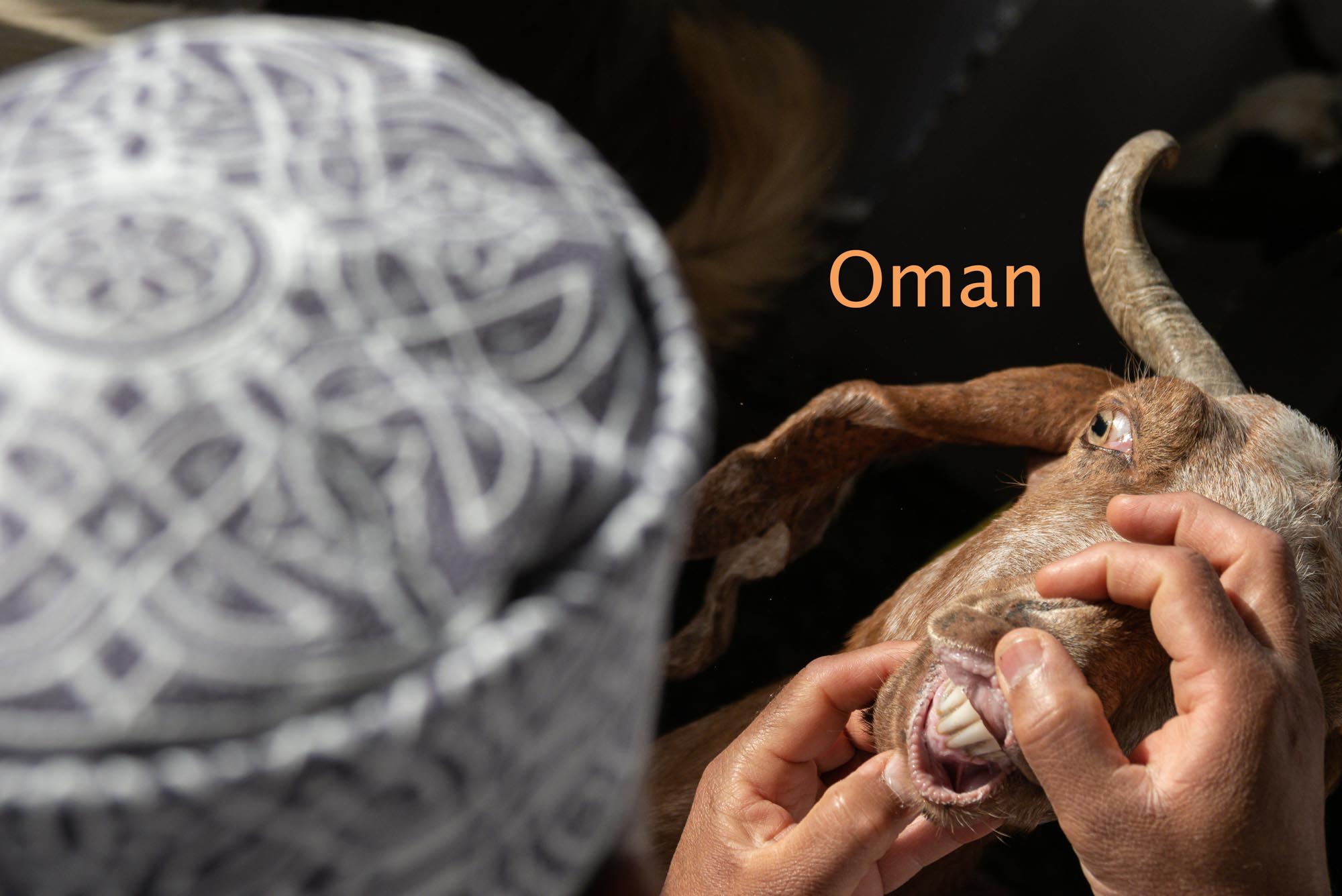 Titelbild_Oma missing