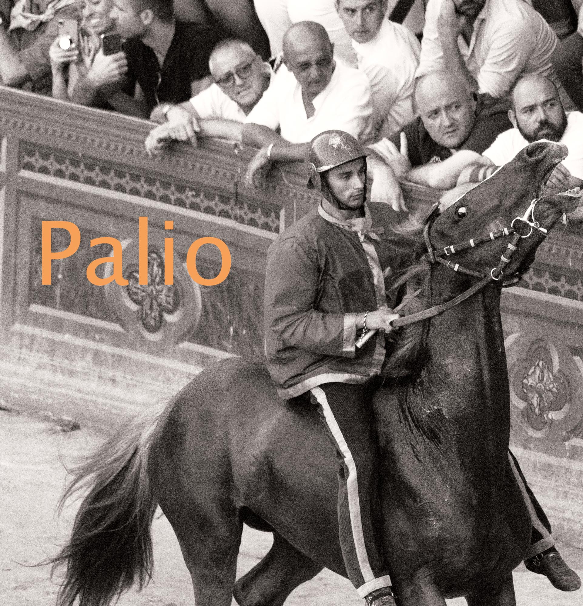 Titelbild_Palio missing